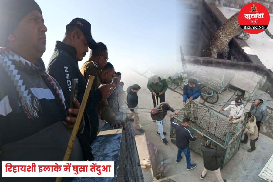 रिहायशी इलाके में घुसा तेंदुआ