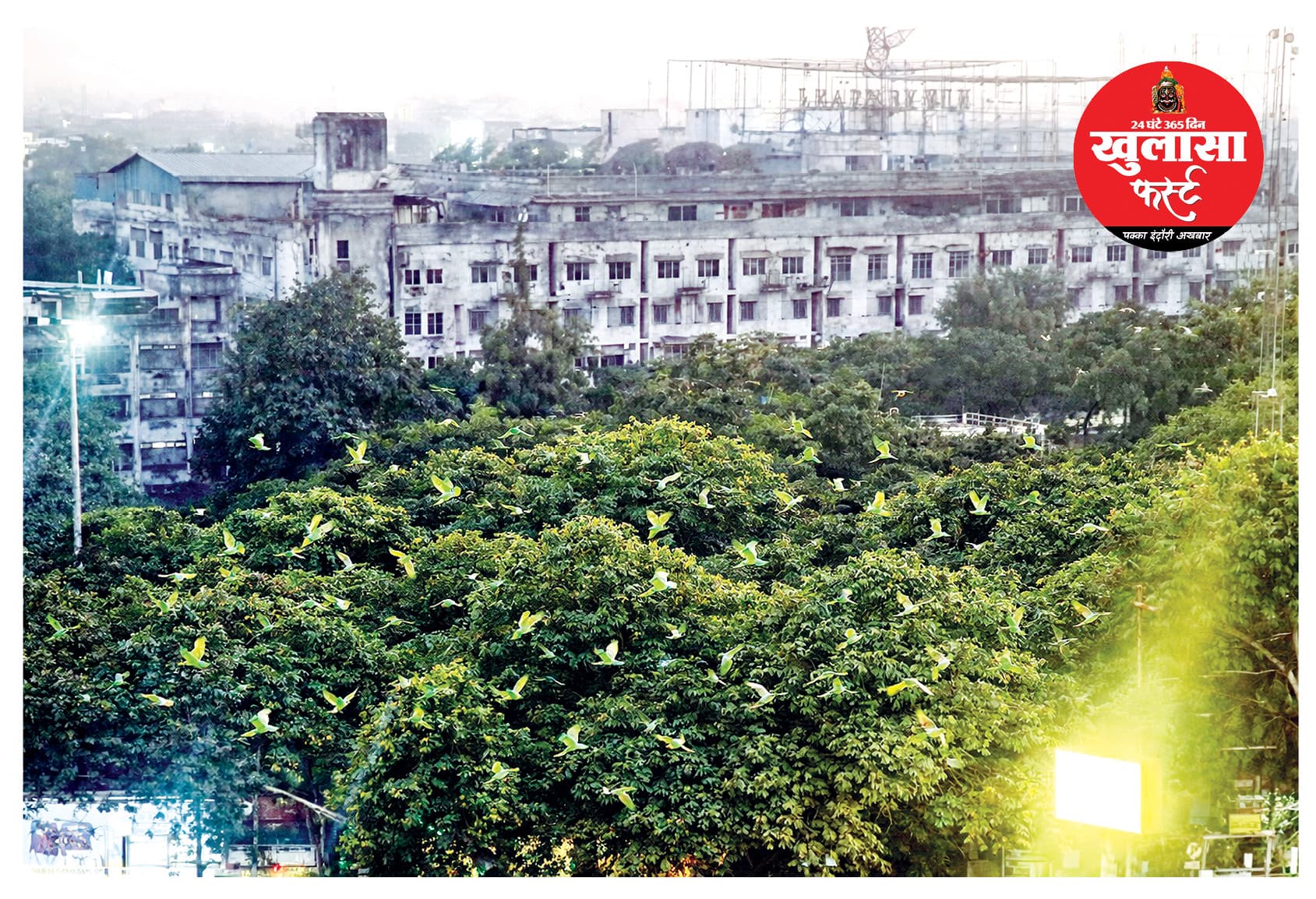 मेट्रो स्टेशन की भेंट चढ़ेगी हरियाली