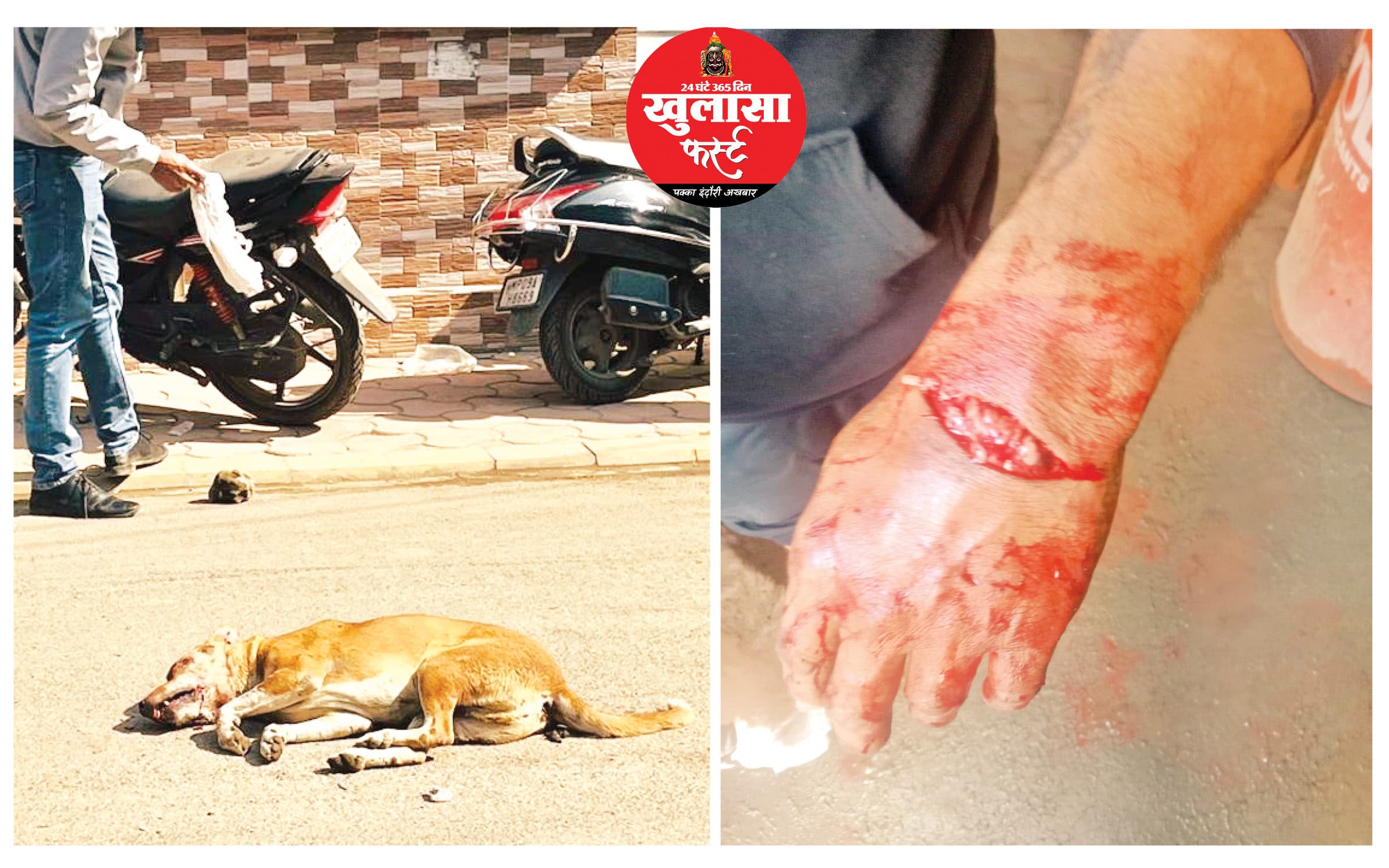 पागल श्वान का आधा दर्जन लोगों पर हमला