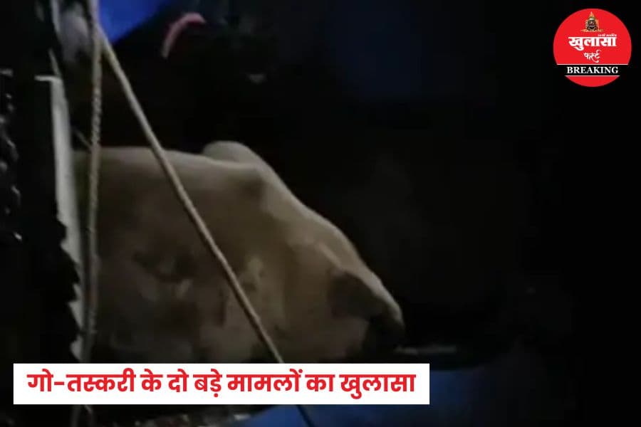 गोमांस मिलने के बाद अब किस शहर में कार्रवाई