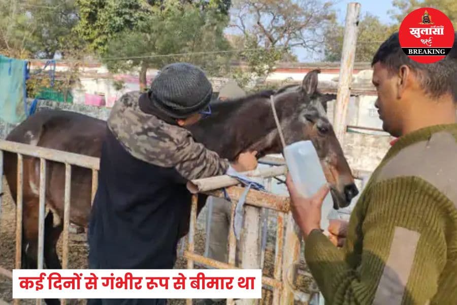पुलिस अश्वदल से कौन साथी बिछड़ गया