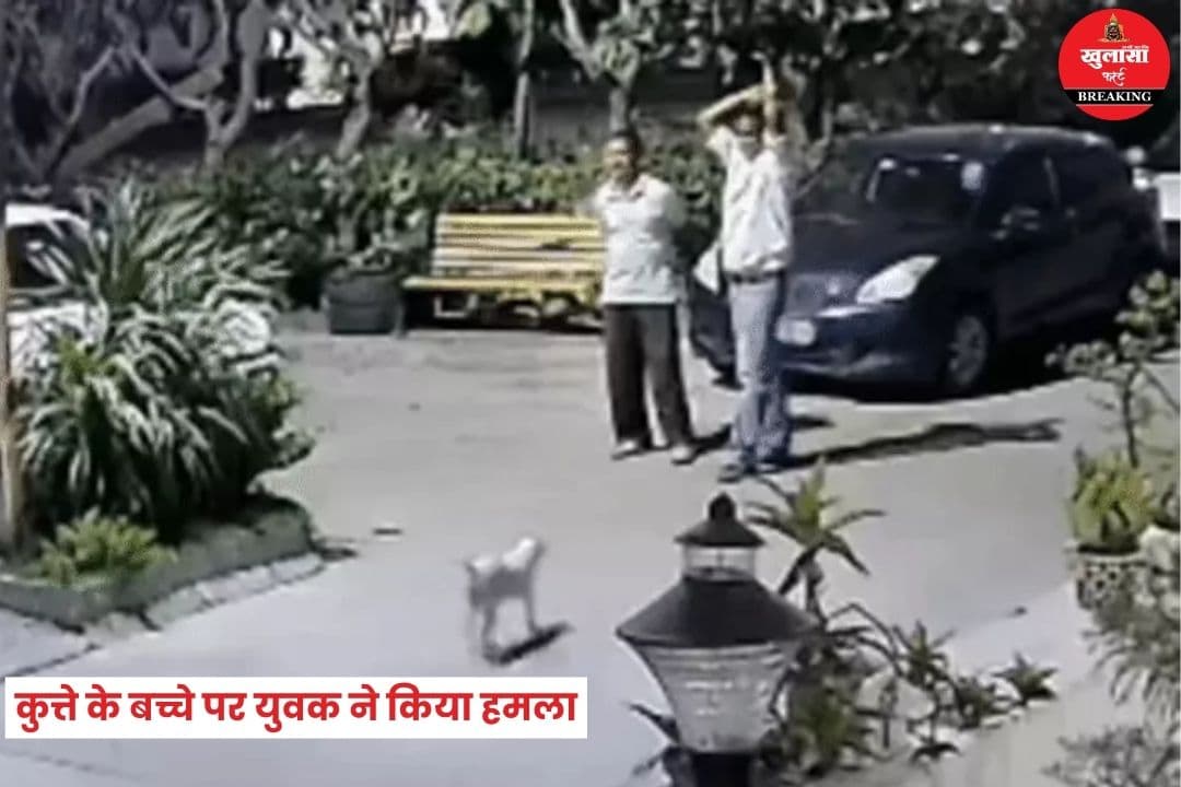 कुत्ते के बच्चे पर युवक ने किया हमला