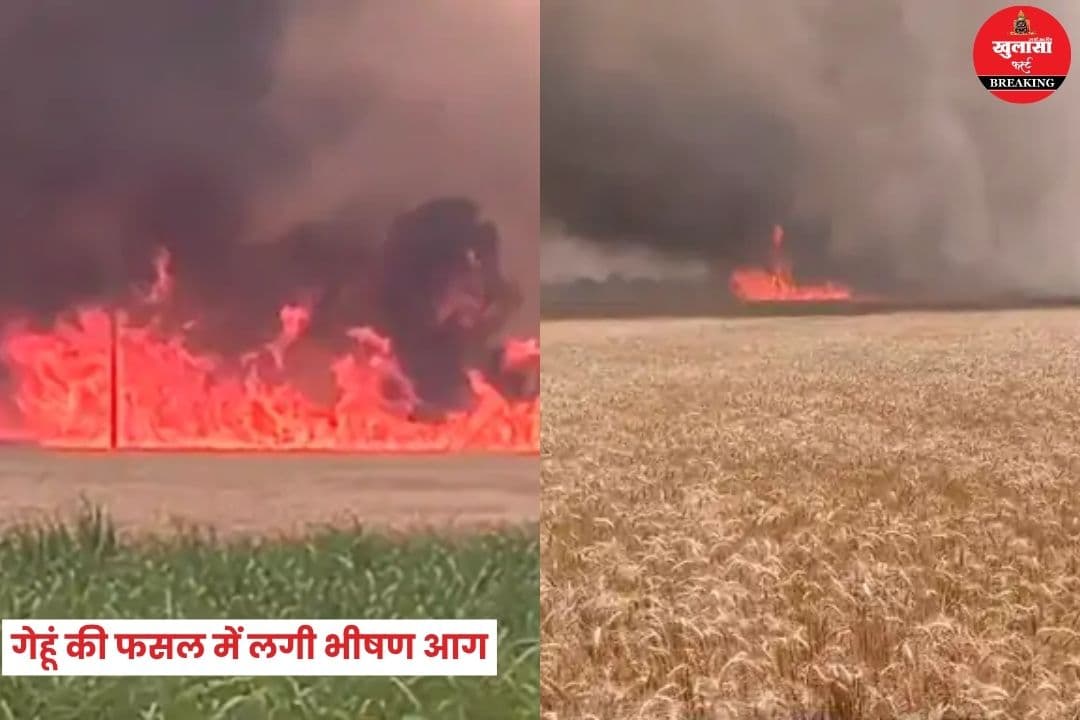 गेहूं की फसल में लगी भीषण आग