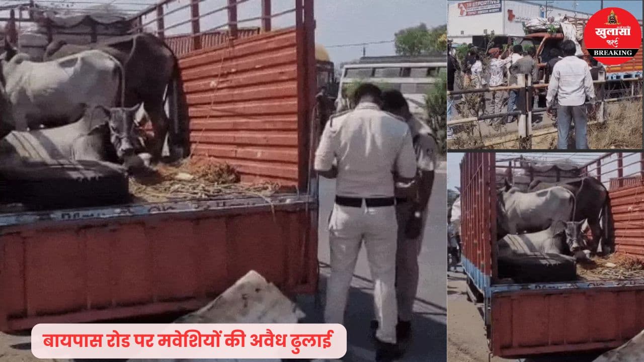 बायपास पर गौवंश तस्करी का खुलासा