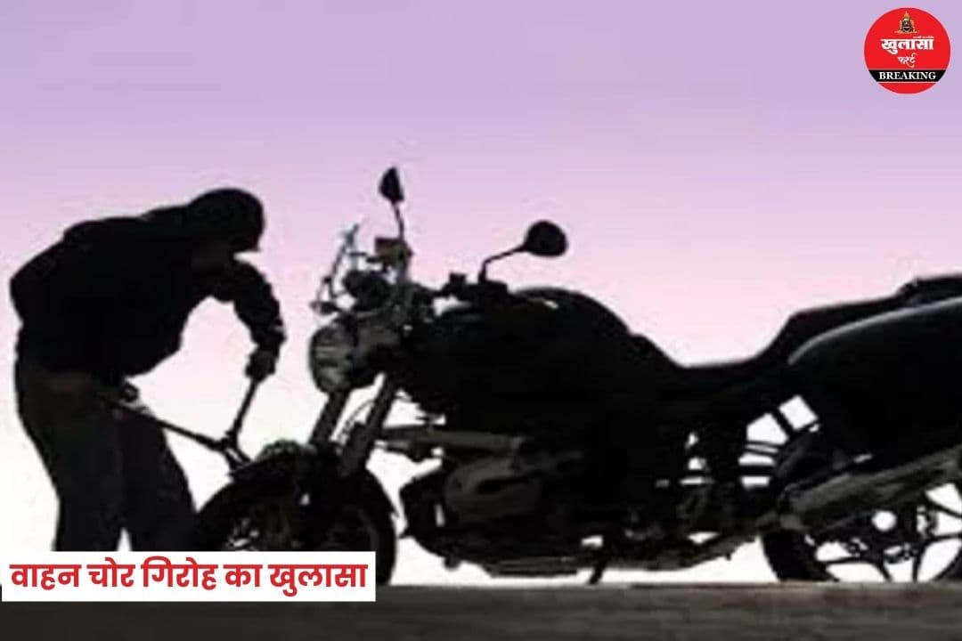 वाहन चोर गिरोह का खुलासा