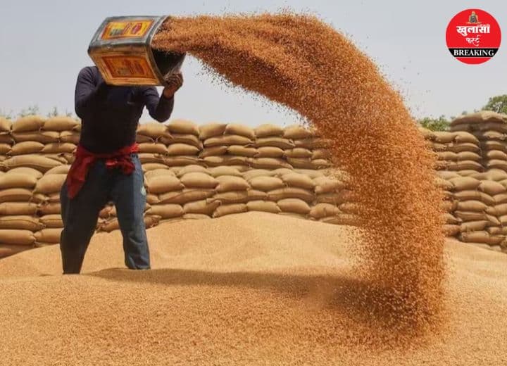 समर्थन मूल्य पर गेहूं खरीदी तेज