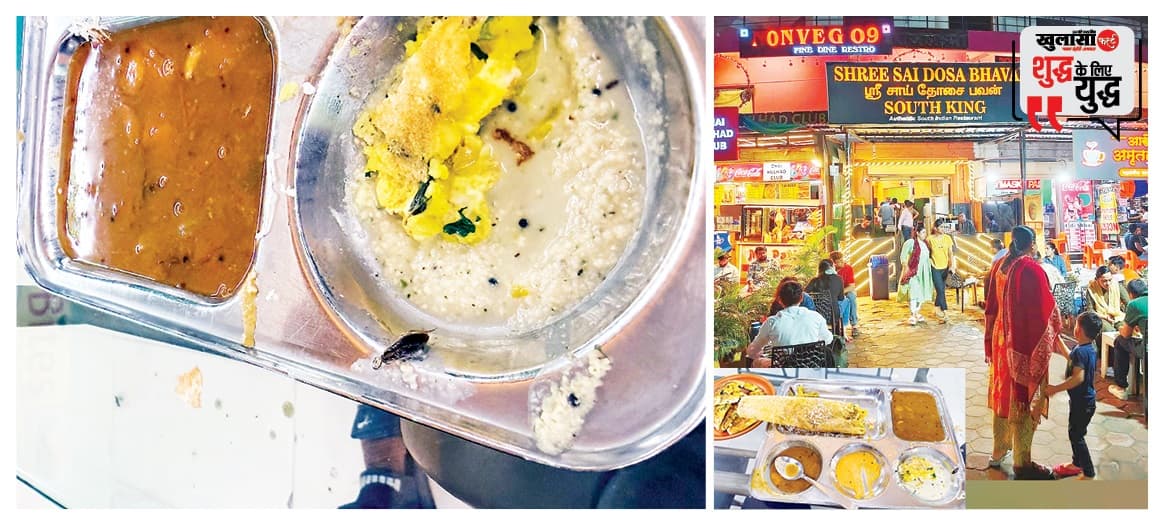 चटनी में निकला कॉकरोच ग्राहक ने लगाए गंभीर आरोप
