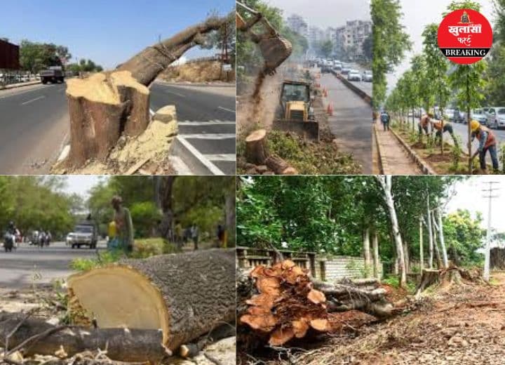 इस काम के लिए फिर दी जाएगी पेड़ों की बलि