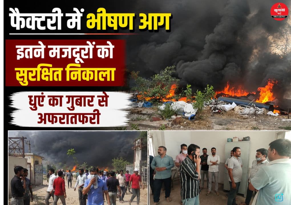 बैग फैक्ट्री में भीषण आग