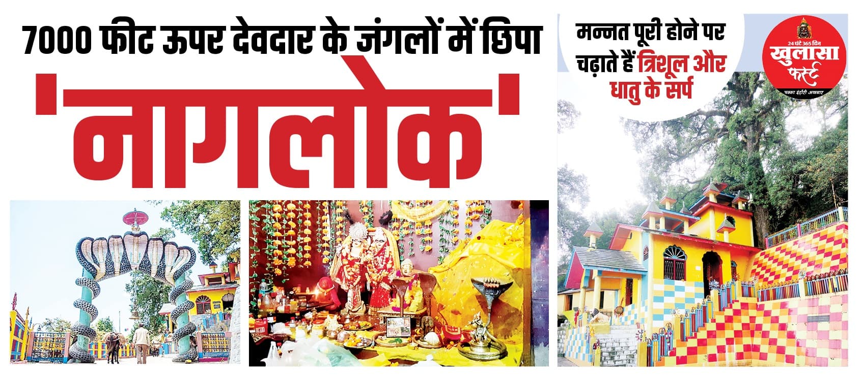 7000 फीट ऊपर देवदार के जंगलों में छिपा नागलोक