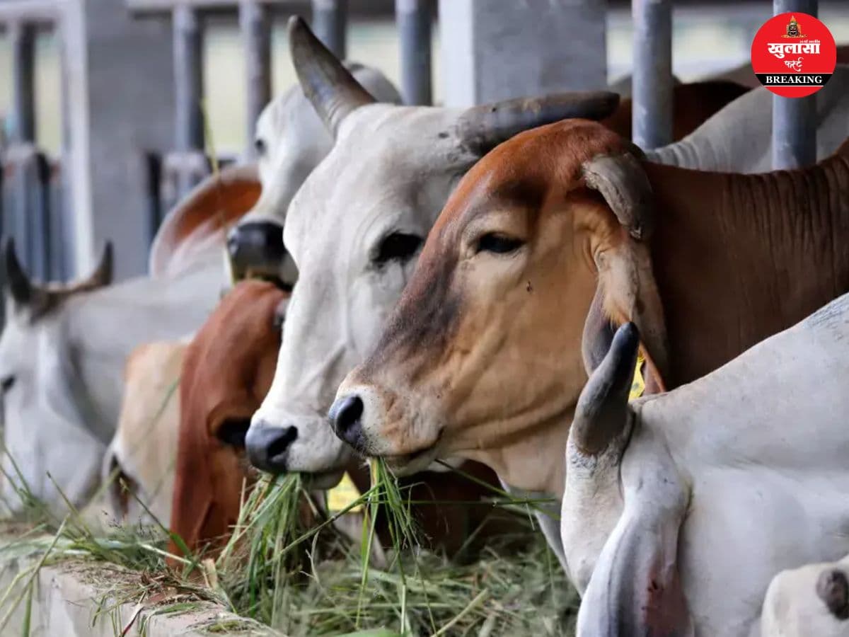 इस राज्य में किस पशु की कुर्बानी पर रोक से विवाद