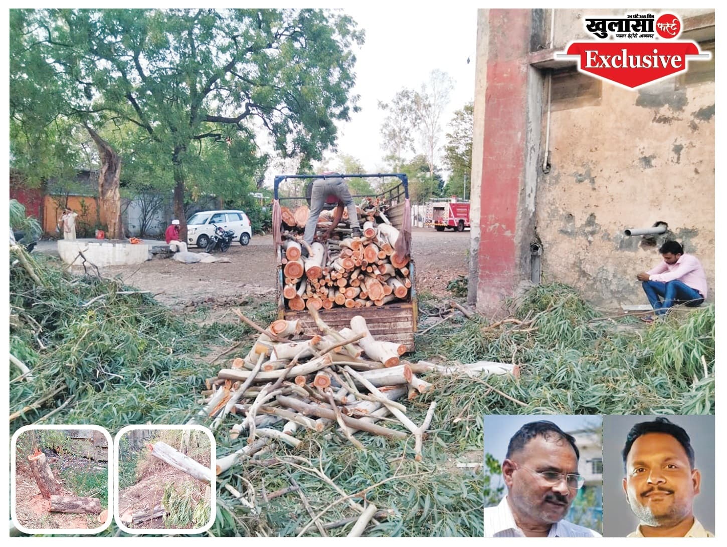 पेड़ों की अवैध कटाई