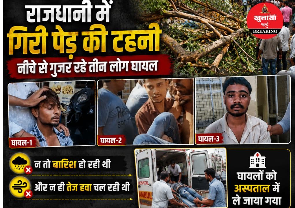 पेड़ की बड़ी टहनी गिरने से अफरातफरी