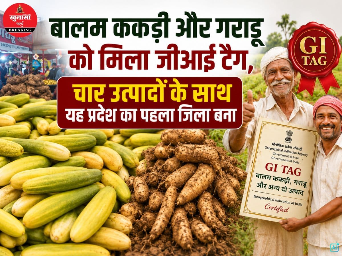 बालम ककड़ी और गराडू को मिला जीआई टैग