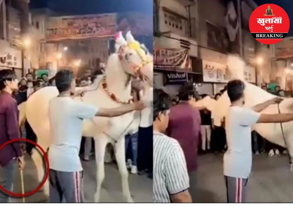 घोड़ी को पीटने और जबरन नचाने वालों पर एफआईआर