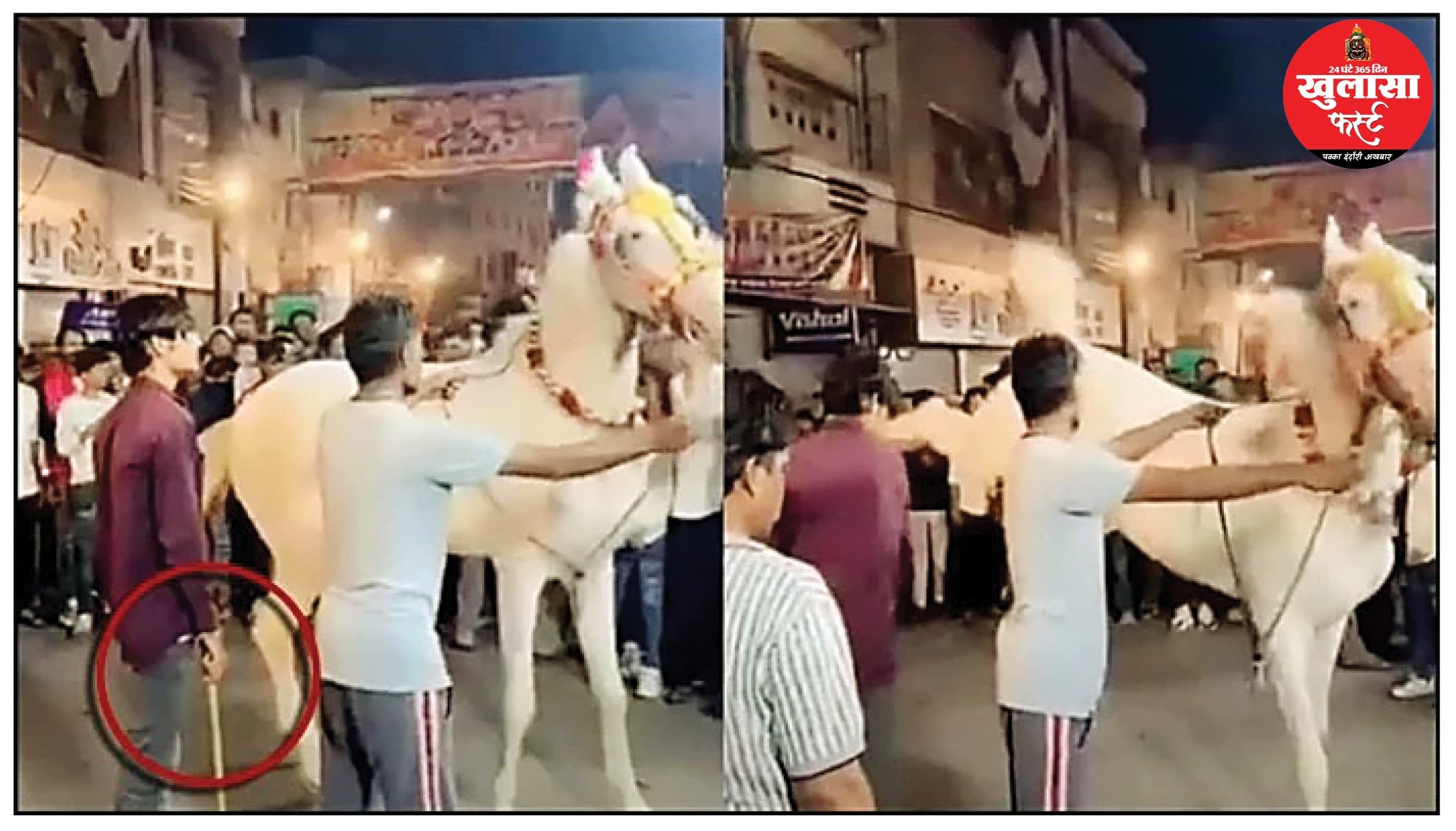घोड़ी से क्रूरता पर चार लोगों पर केस