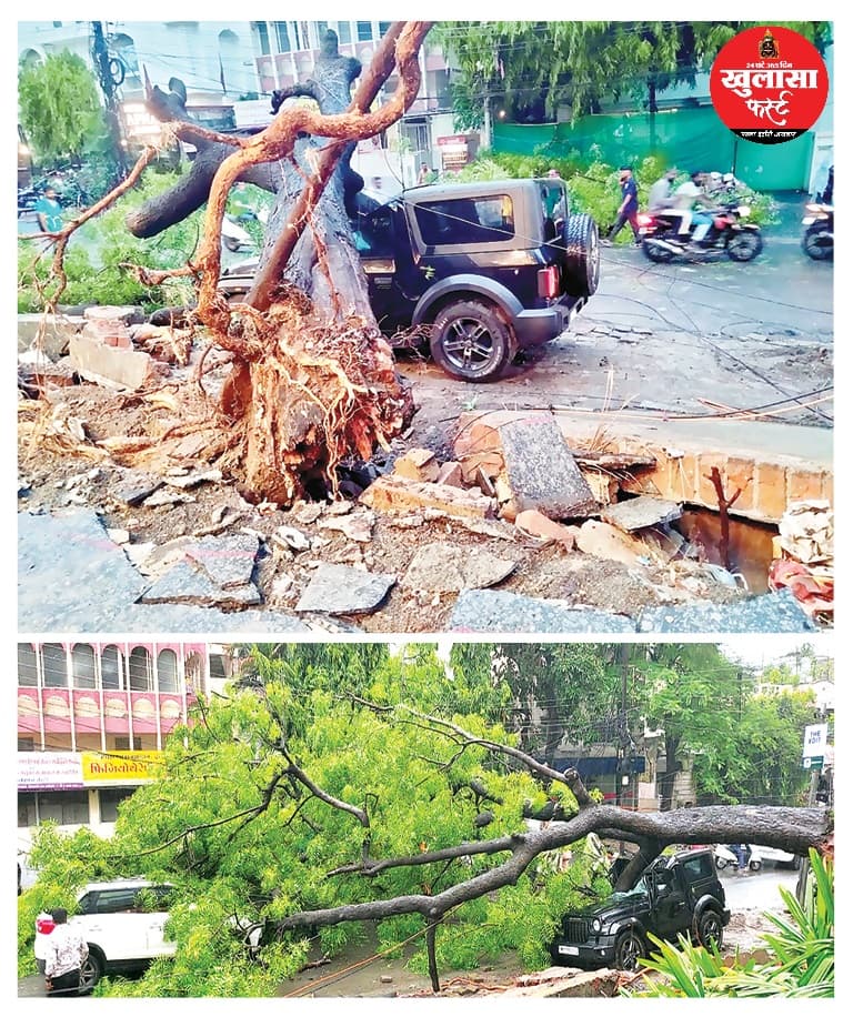 शोरूम के सामने गिरे पेड़ की चपेट में आने से थार समेत दो कारें हुई क्षतिग्रस्त