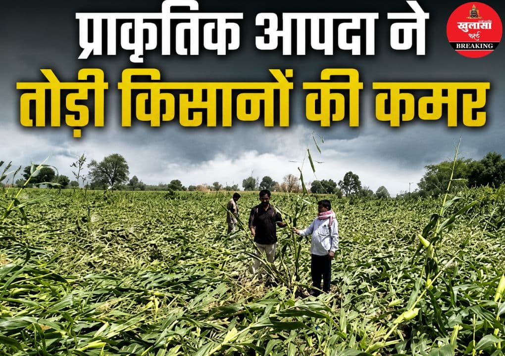 प्राकृतिक आपदा ने तोड़ी किसानों की कमर