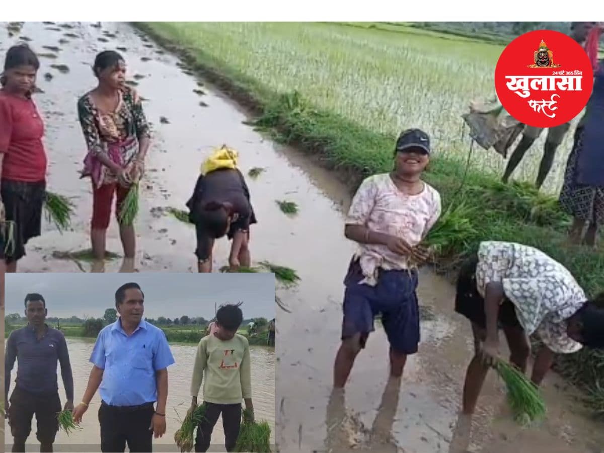 वीडियो देखिये, खेतों में धान रोप रहे बच्चों तक पहुंचे गुरुजी