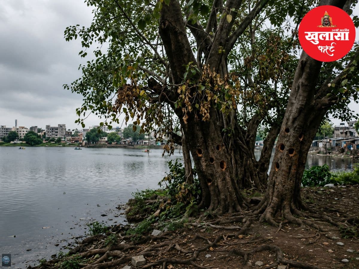 पेड़ों में जहर, झील में सीवेज