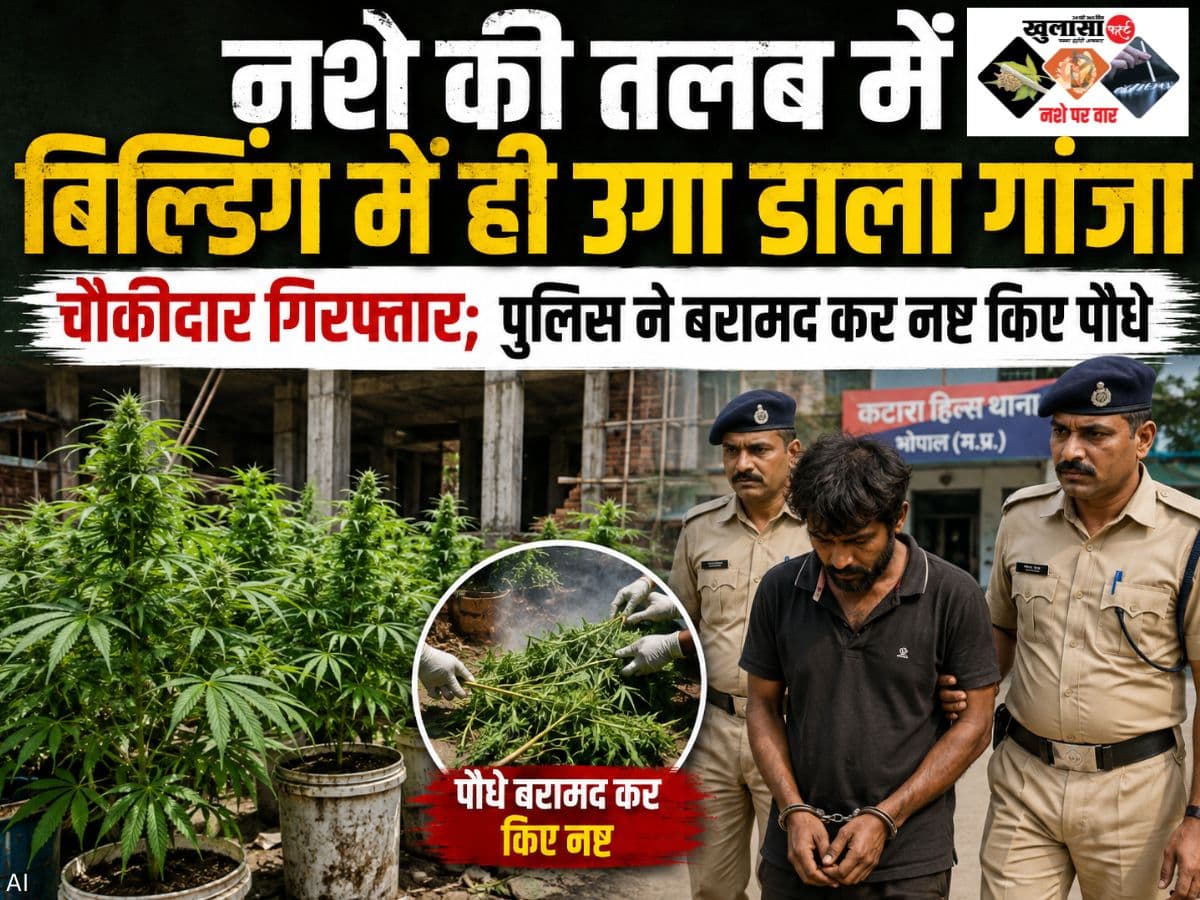 नशे की तलब में बिल्डिंग में ही उगा डाला गांजा
