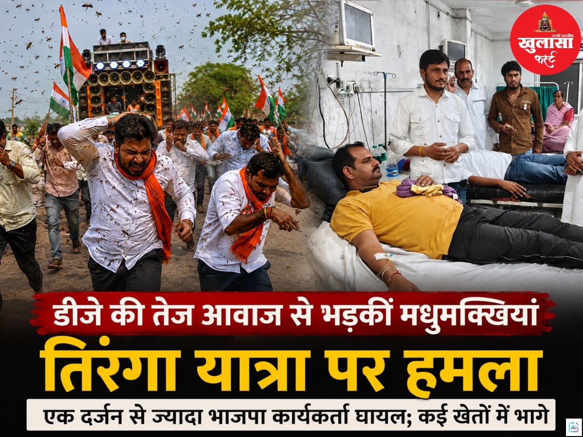 डीजे की तेज आवाज से भड़कीं मधुमक्खियां