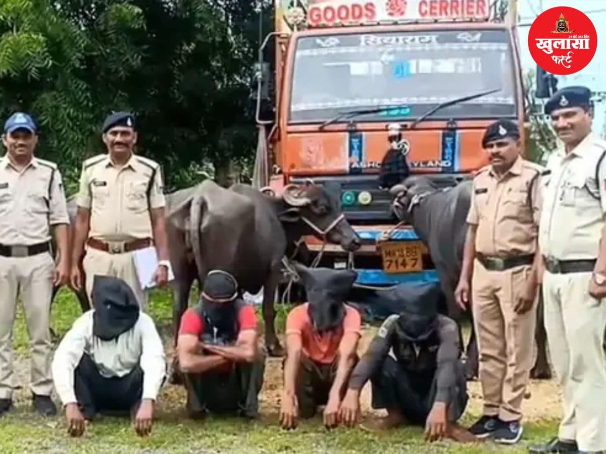 कर्ज की किस्त ने बनाया ‘भैंस चोर’
