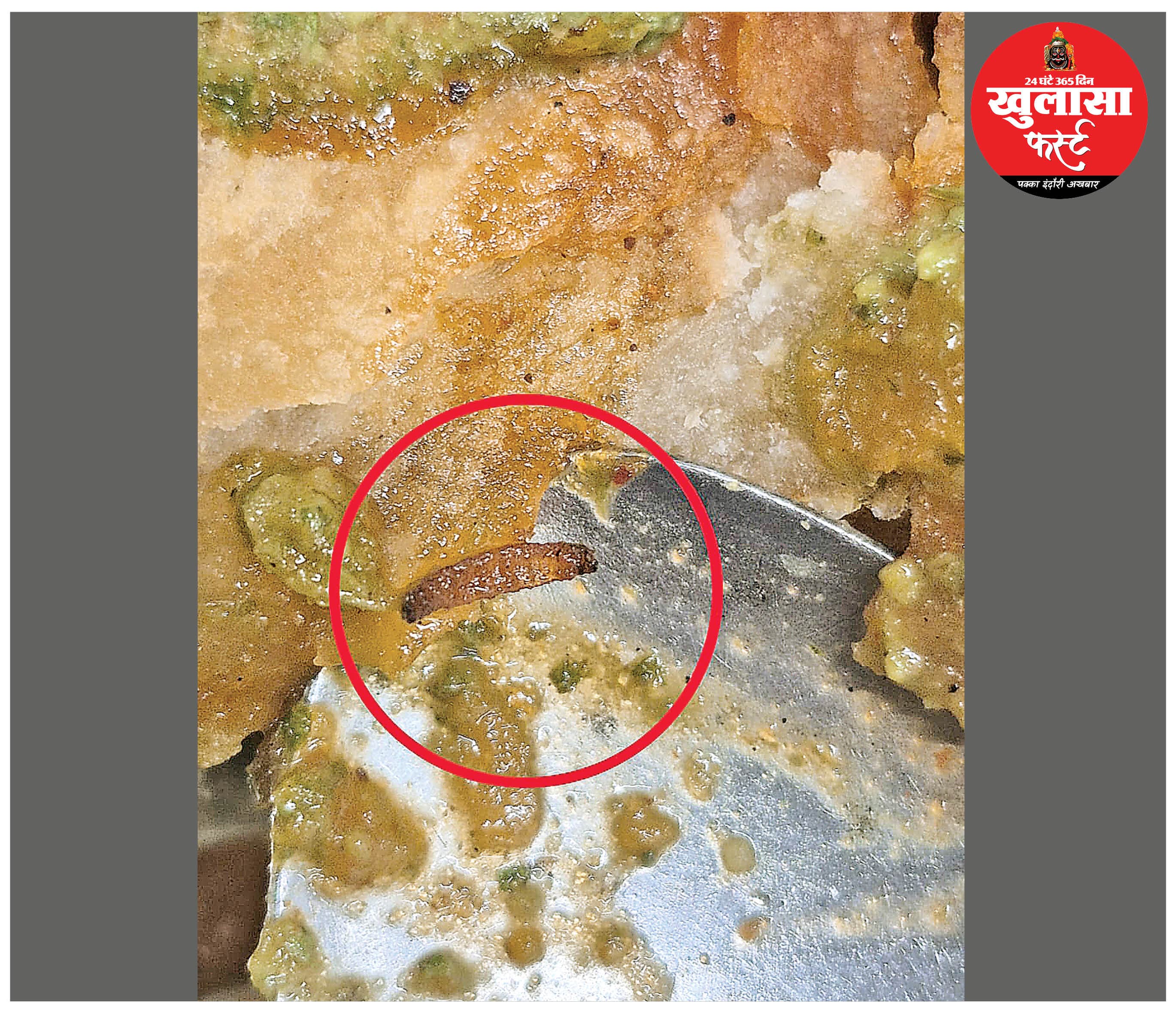जेएमबी की कचौरी में निकला कीड़ा