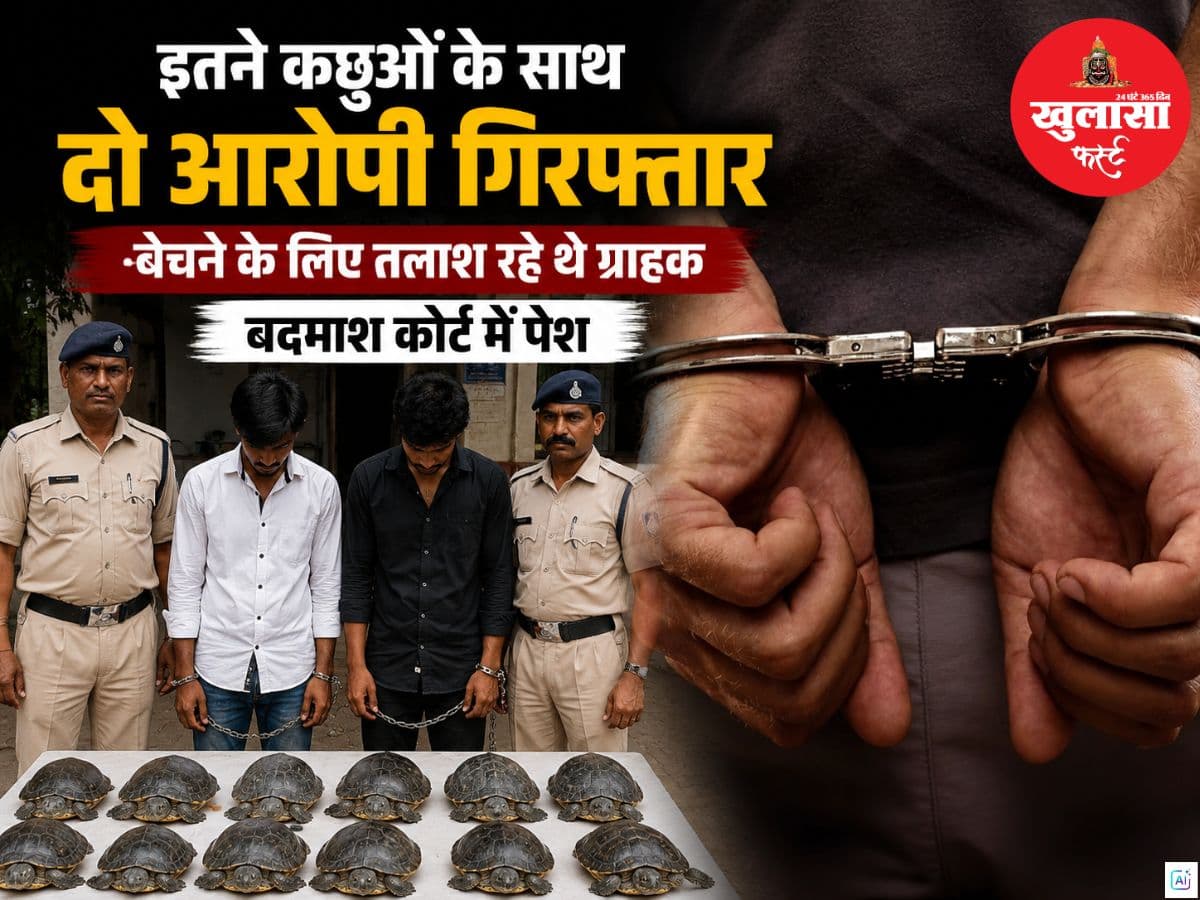 इतने कछुओं के साथ दो आरोपी गिरफ्तार