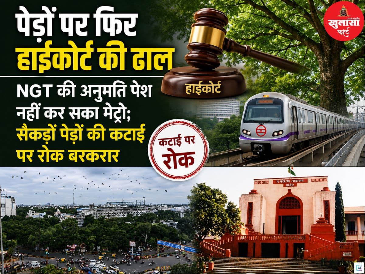पेड़ों पर फिर हाईकोर्ट की ढाल