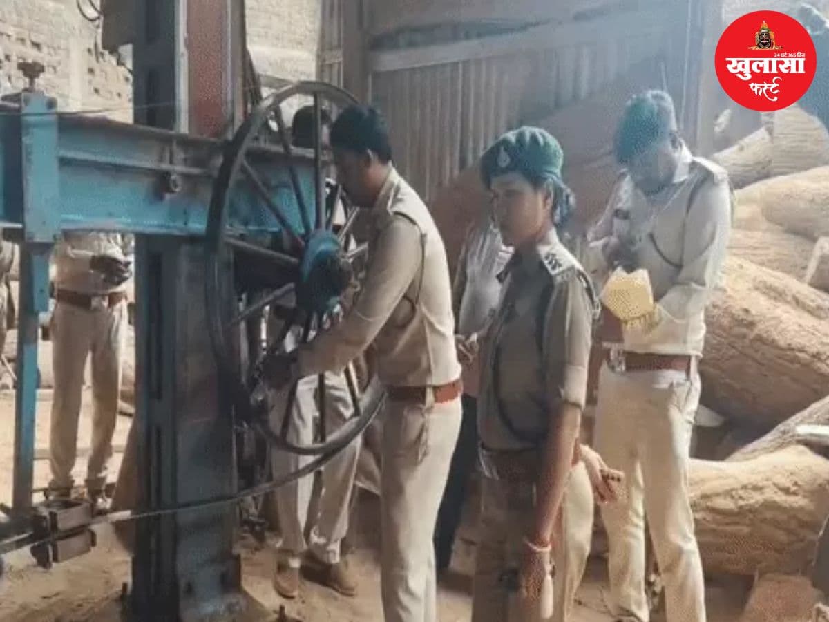 टिंबर मार्केट में बड़ा एक्शन