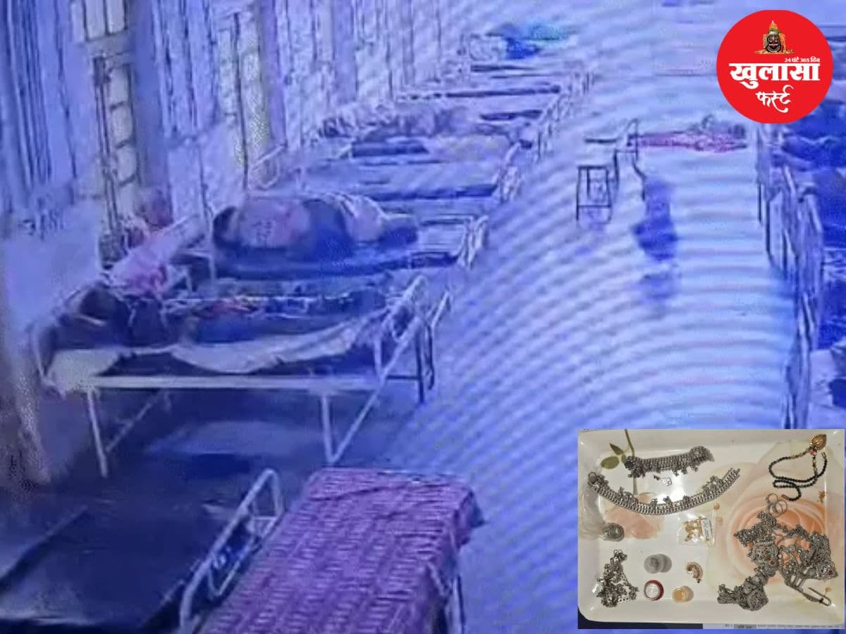 सोने के जेवरों से भरा बैग उठा ले गया कुत्ता