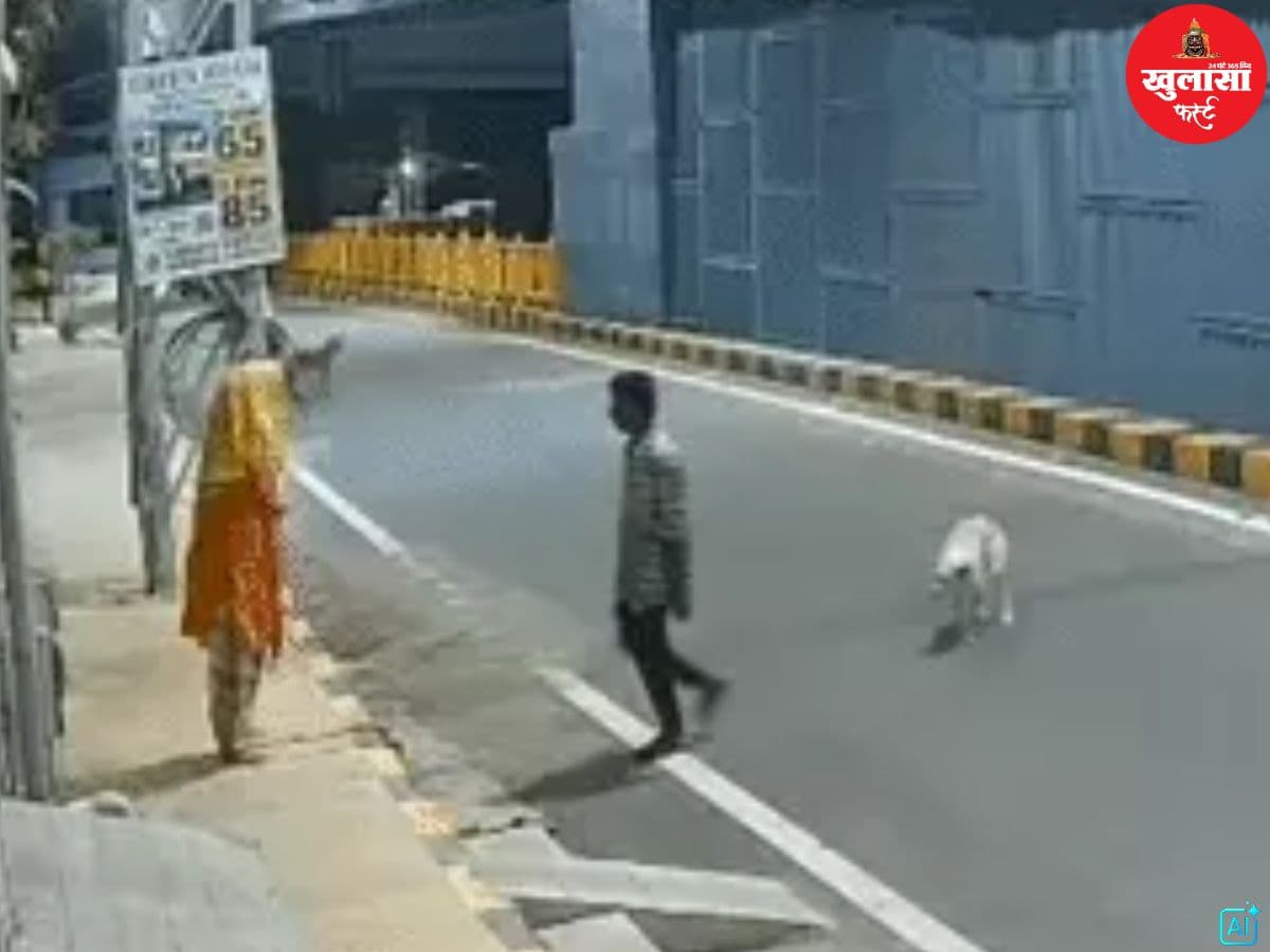 देखिए वीडियो