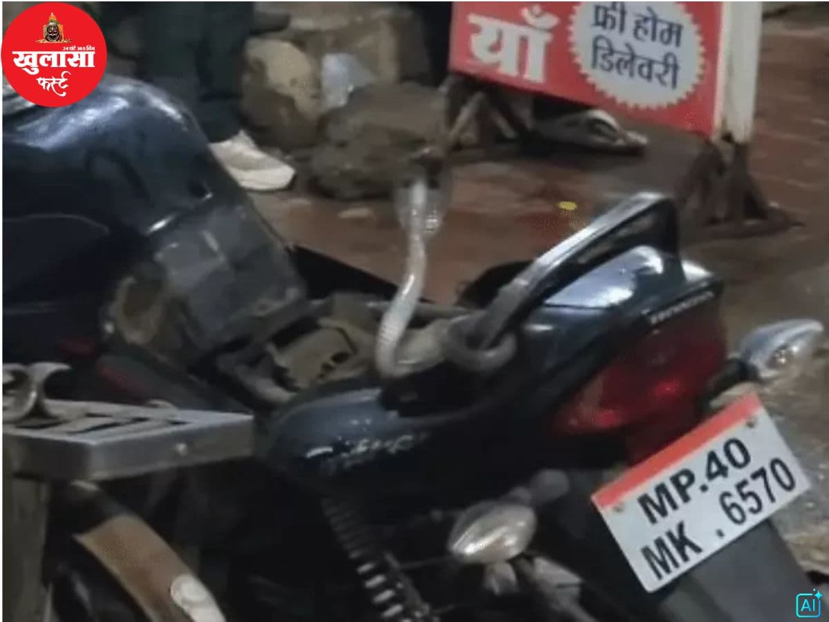 देखिए वीडियो