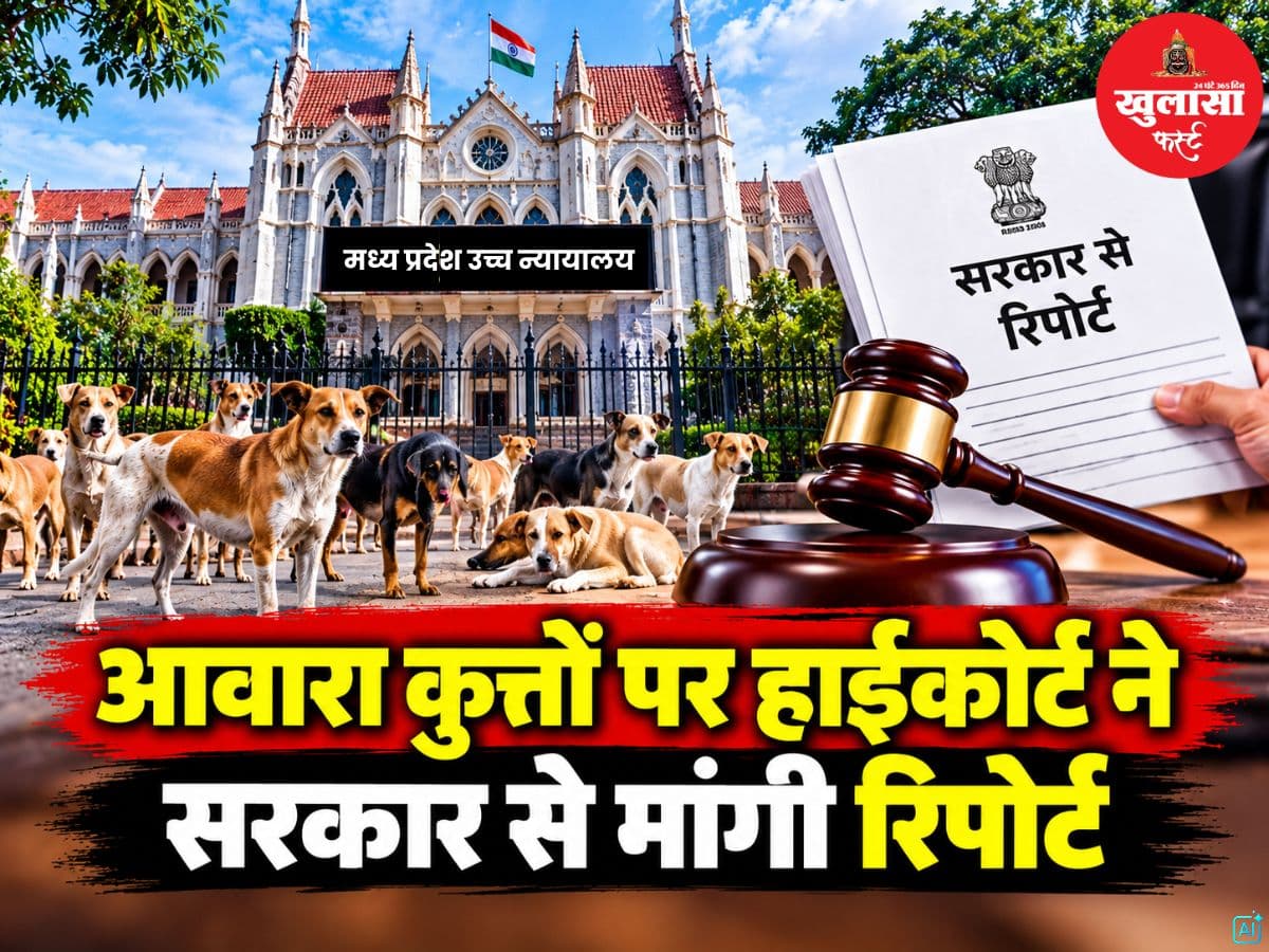 आवारा कुत्तों पर हाईकोर्ट ने सरकार से मांगी रिपोर्ट