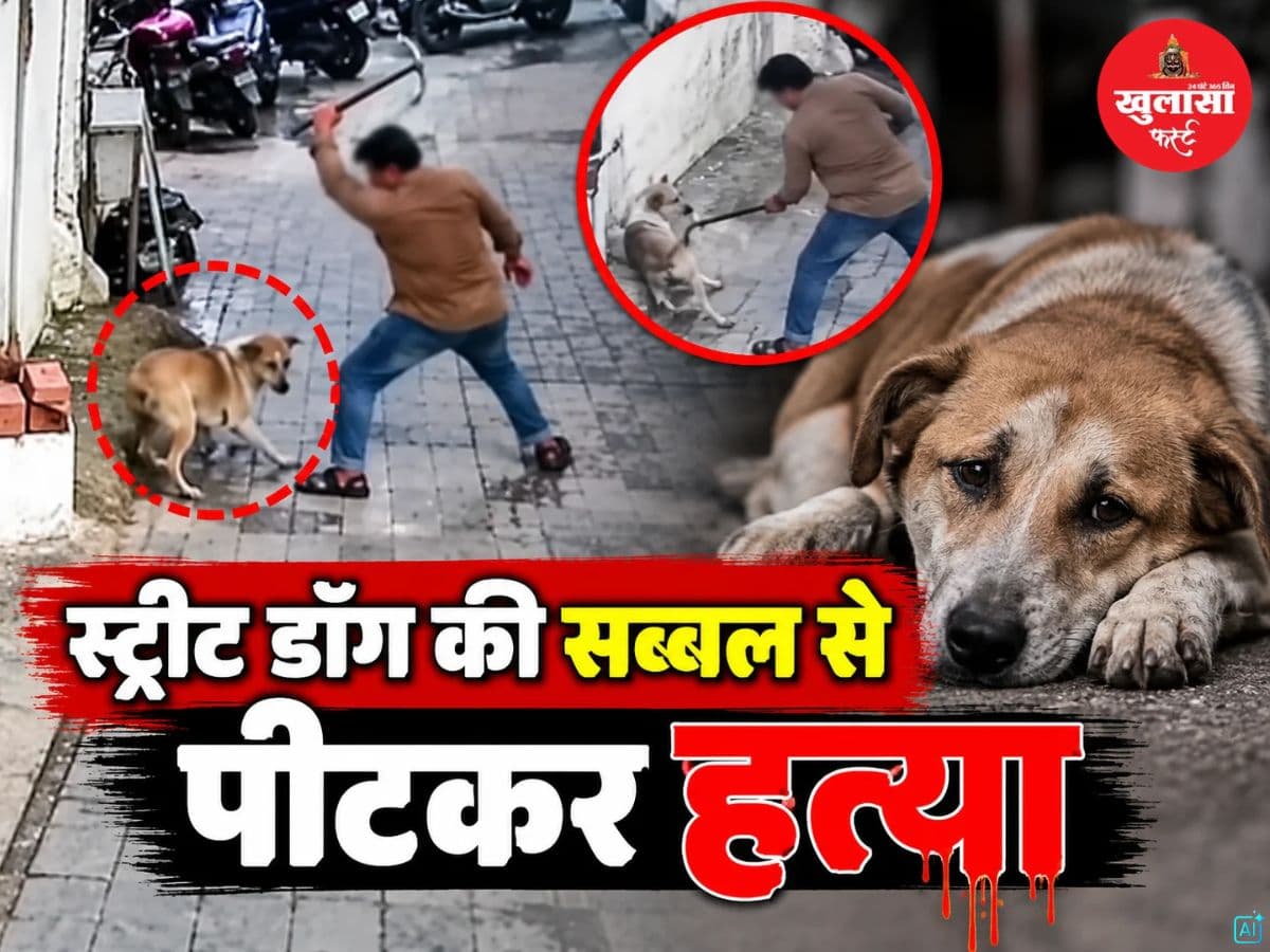 स्ट्रीट डॉग को सब्बल से पीटकर मार डाला