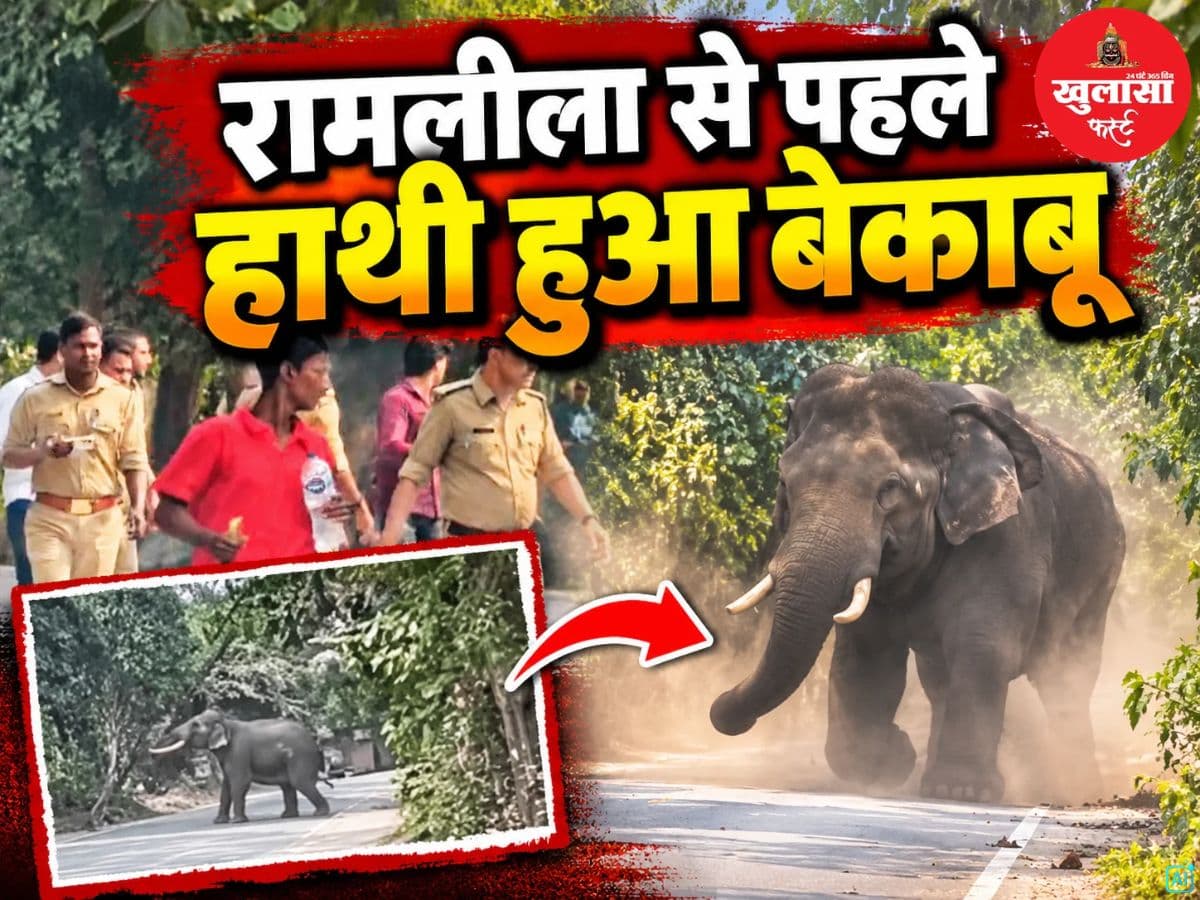 रामलीला से पहले बेकाबू हुआ हाथी