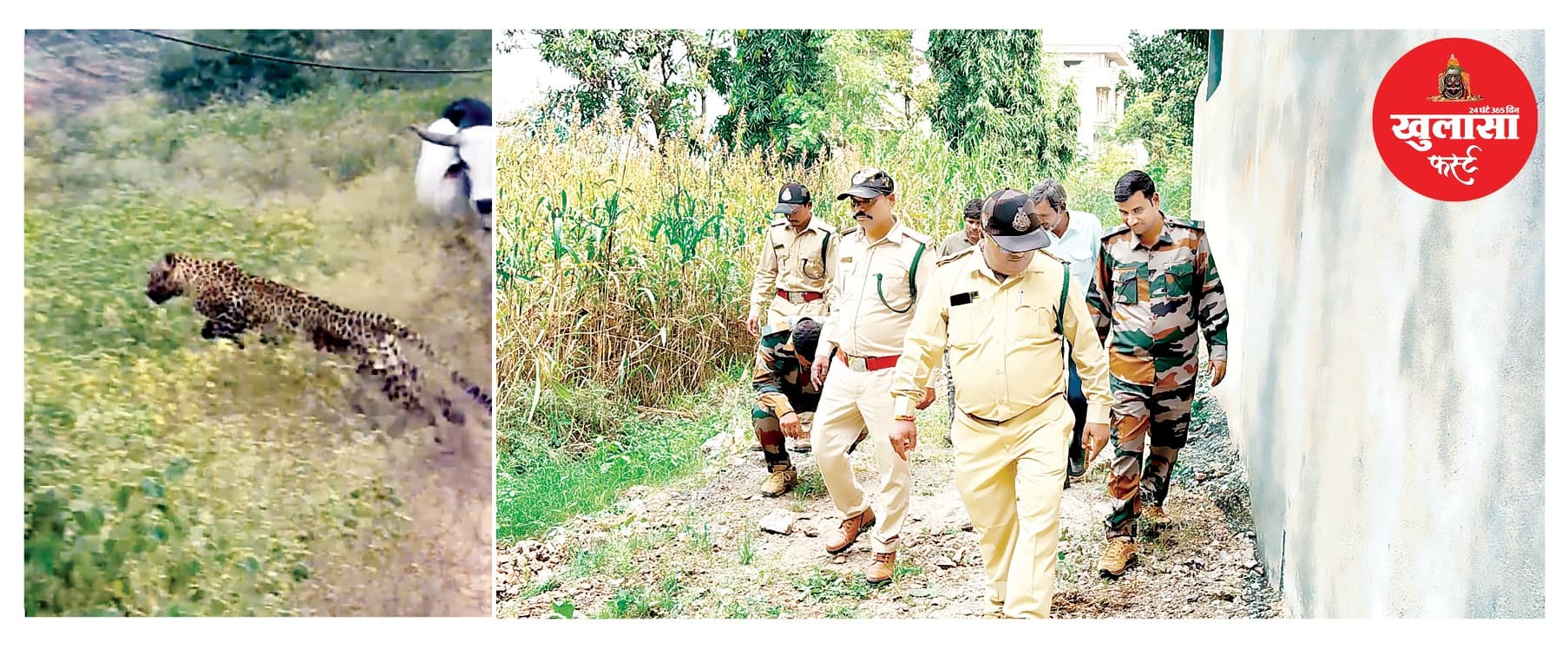 बरामदे में तेंदुआ, दो घंटे बाद पहुंची टीम