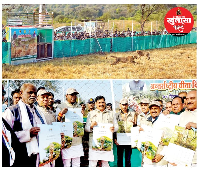 मुख्यमंत्री डॉ. मोहन यादव ने कूनो में छोड़े 3 चीते