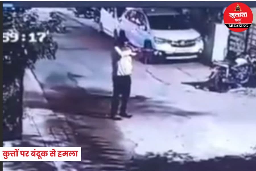 कुत्तों पर बंदूक से हमला