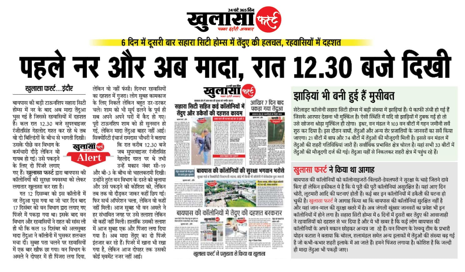 पहले नर और अब मादा, रात 12.30 बजे दिखी