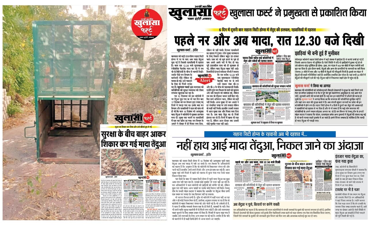 बायपास की कॉलोनियों में तेंदुए की सर्चिंग जारी