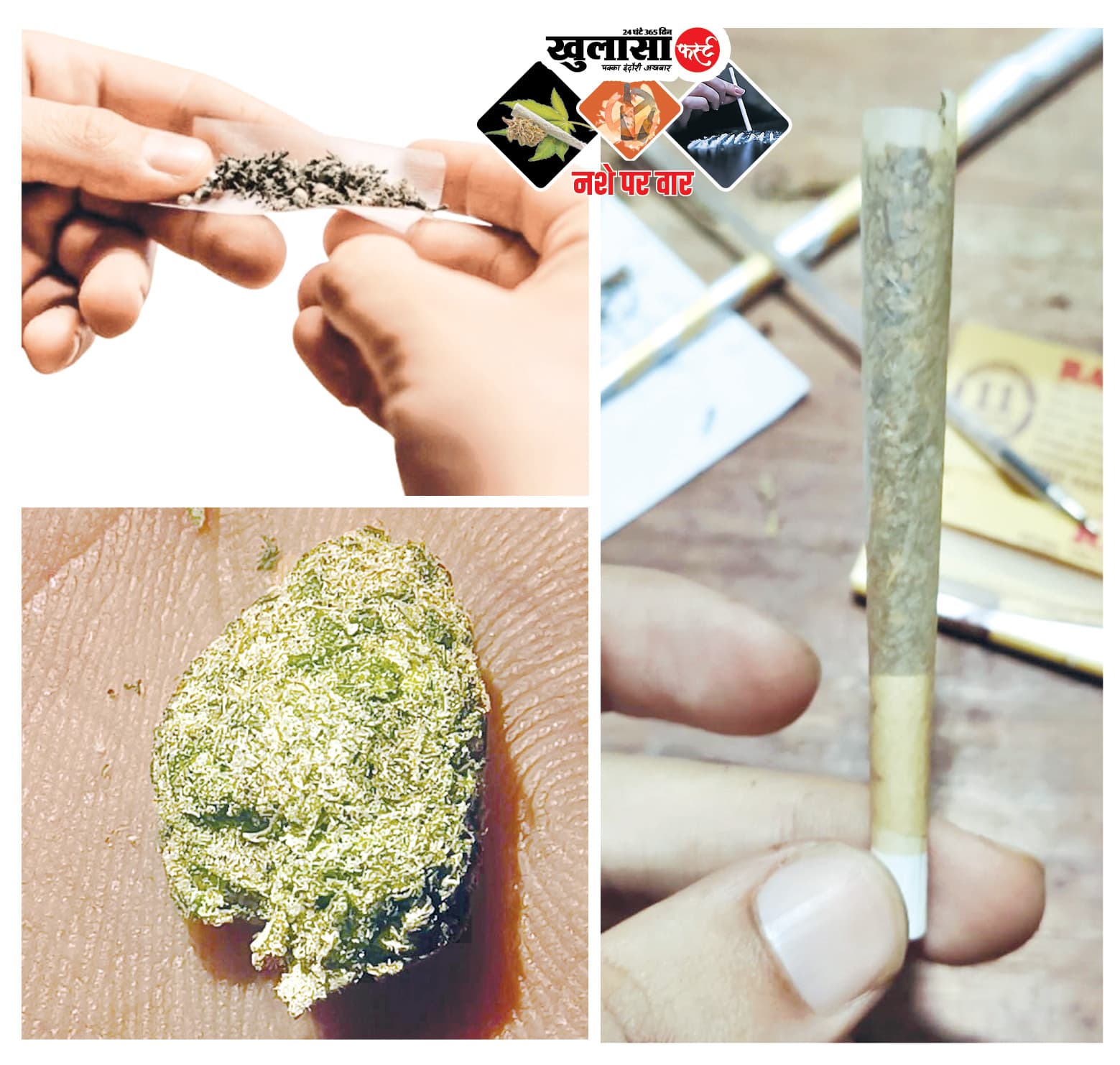 रईसजादे नशेड़ी फूंक रहे 20 लाख रुपए किलो का गांजा