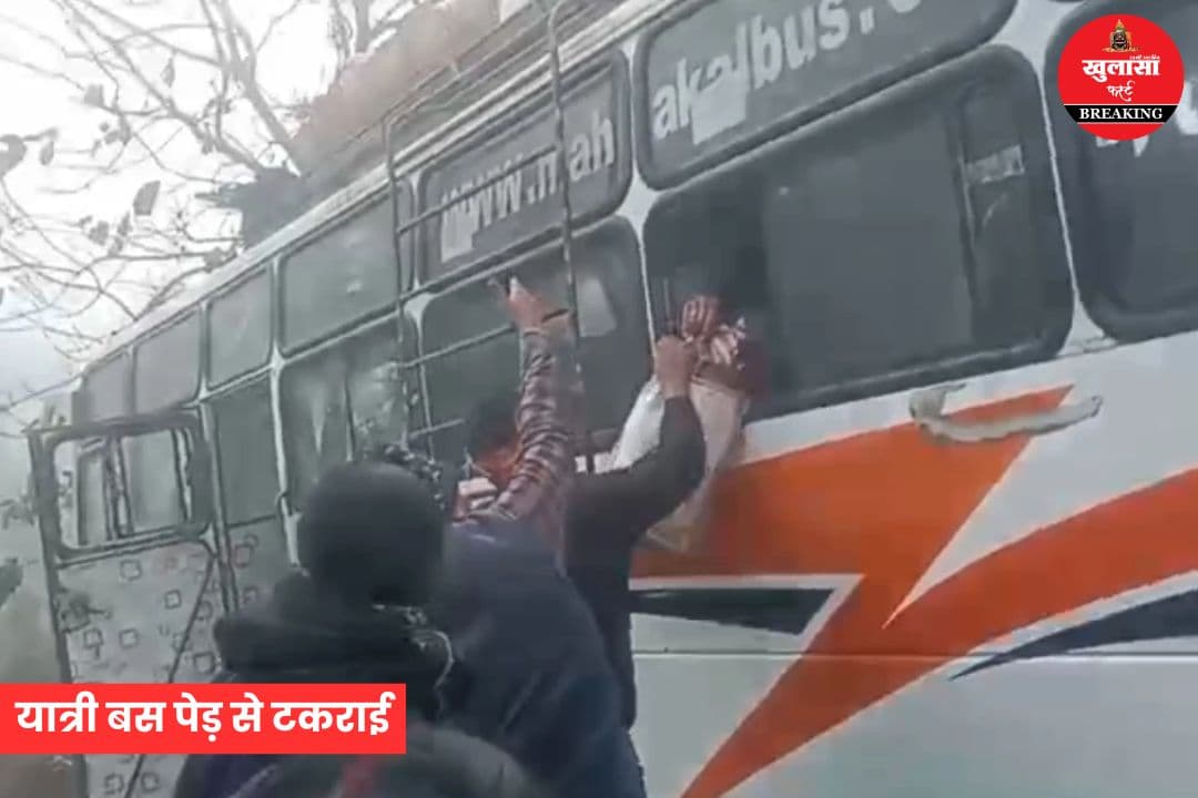 यात्री बस पेड़ से टकराई