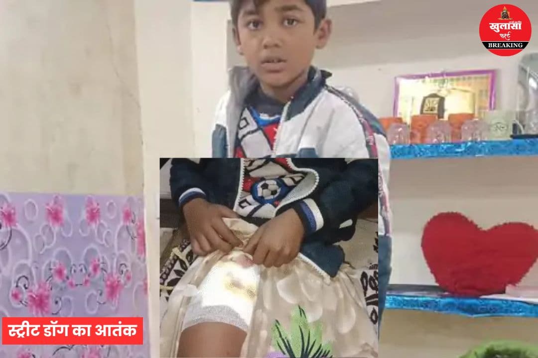 स्ट्रीट डॉग का आतंक