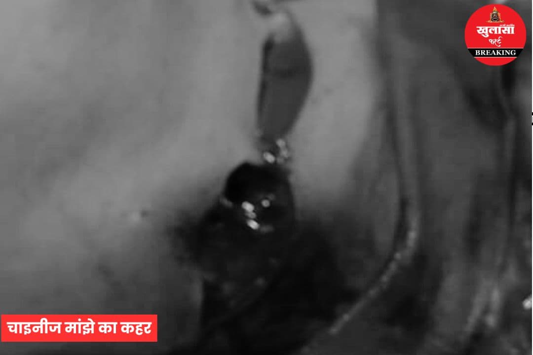 चाइनीज मांझे का कहर