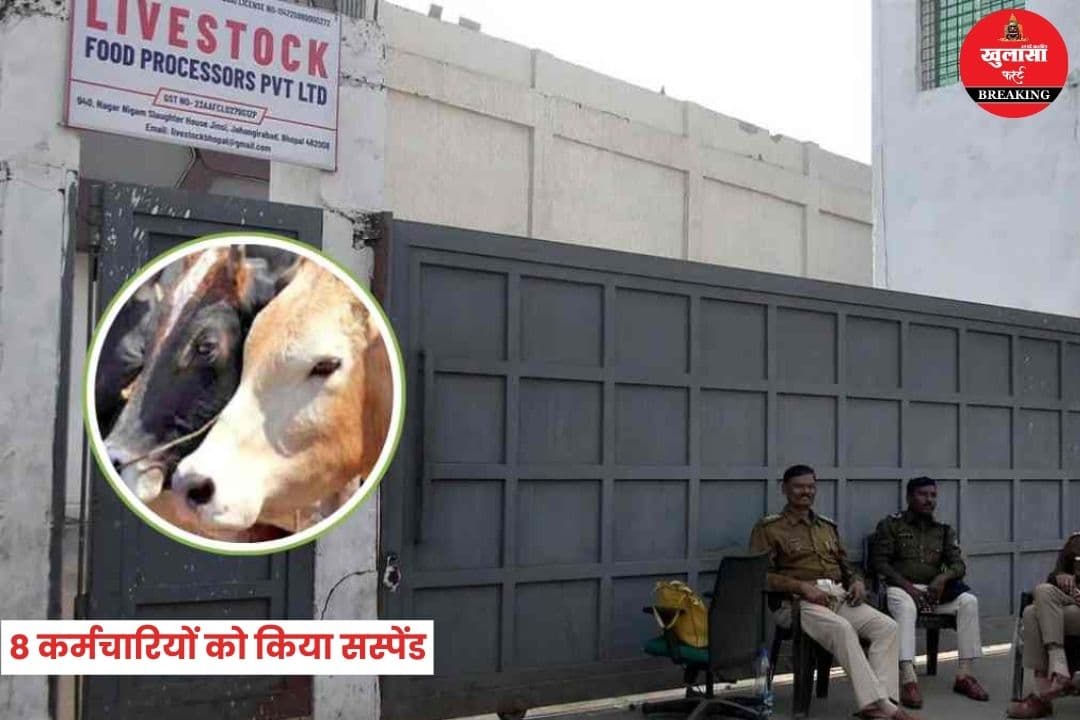 स्लॉटर हाउस विवाद