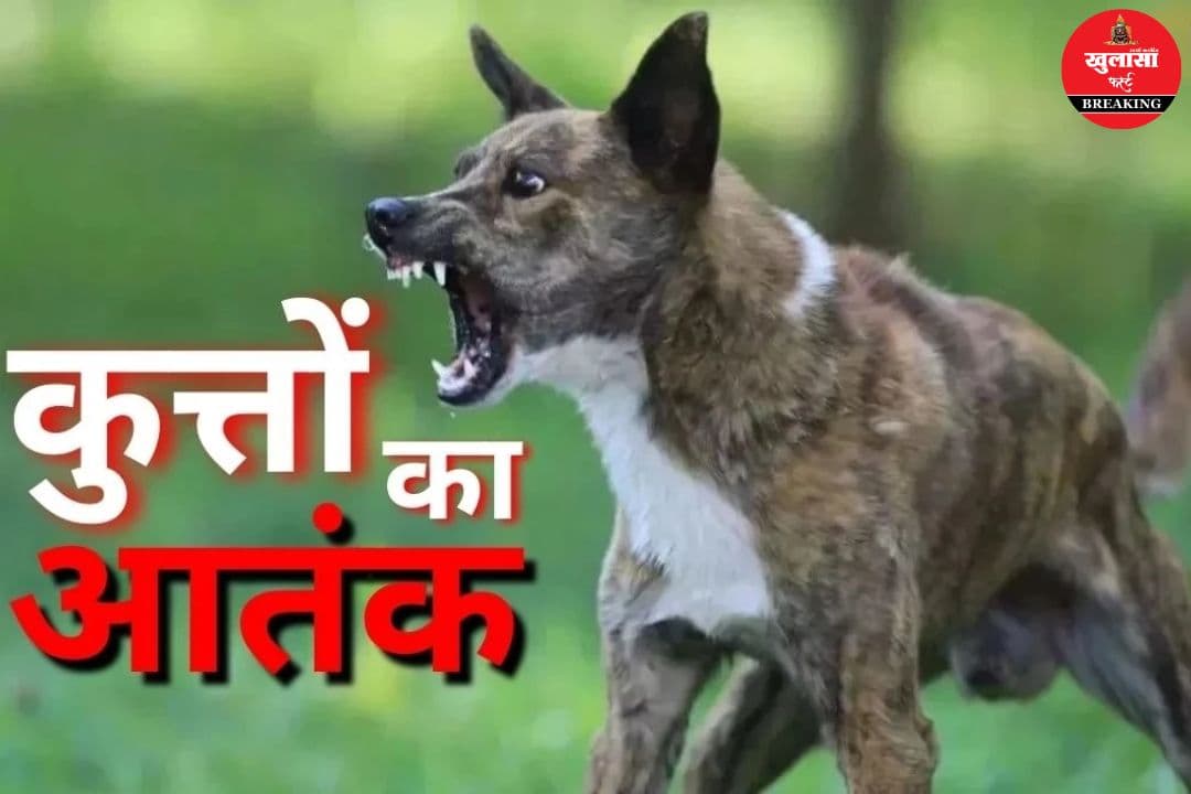श्रद्धालुओं को आवारा कुत्ते ने काटा
