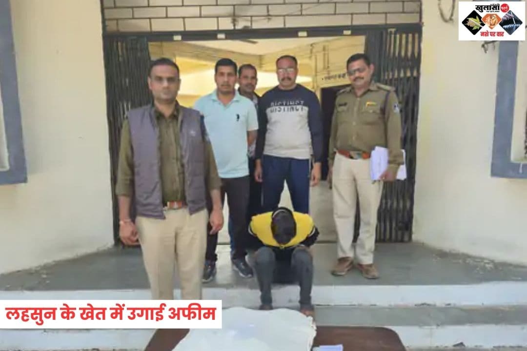 लहसुन की आड़ में अफीम की खेती