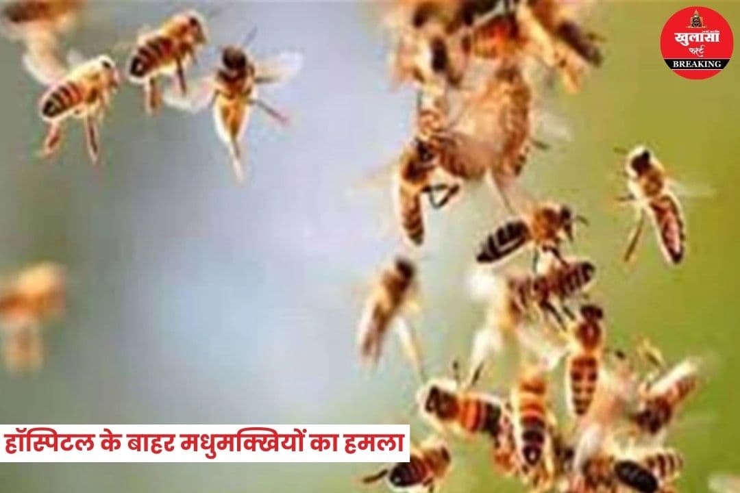 हॉस्पिटल के बाहर मधुमक्खियों का हमला